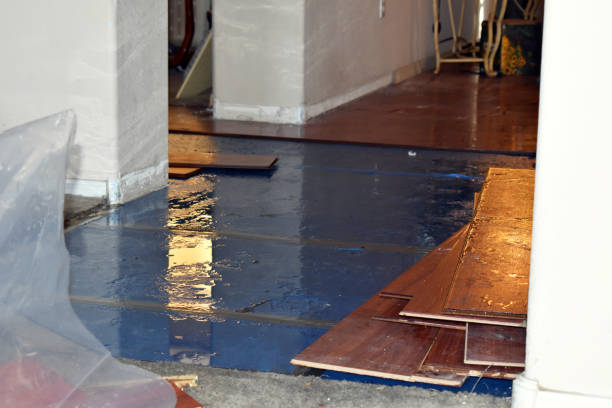 Professional Water Damage Restoration technician working in Kerman, CA